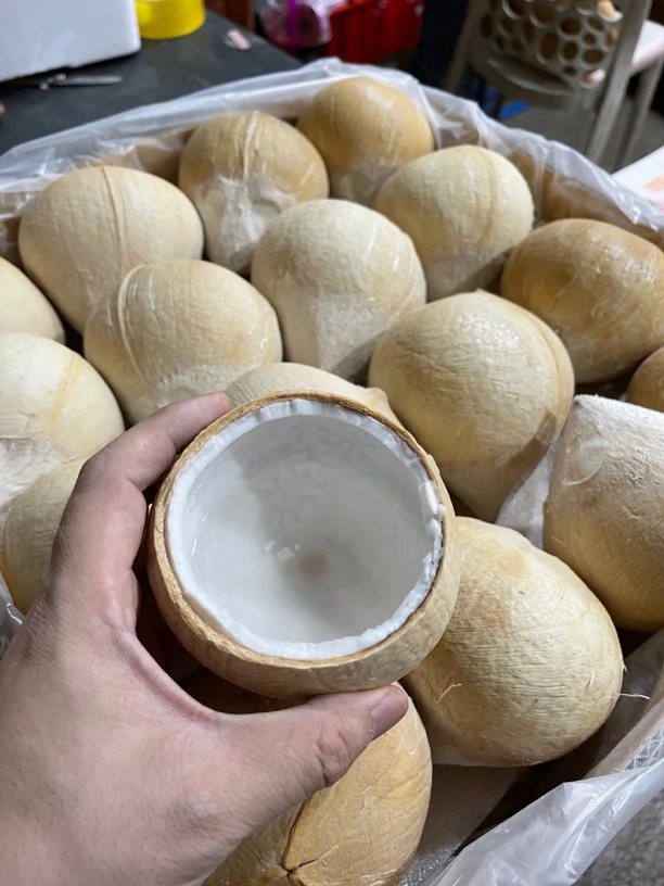 【新店优惠】泰国牛奶椰王/泰国椰皇2-9个装当季水果奶香味十足