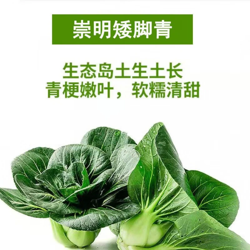 [顺丰] 正宗崇明本地矮脚青菜3斤/6斤 青油菜现采现发新鲜蔬菜