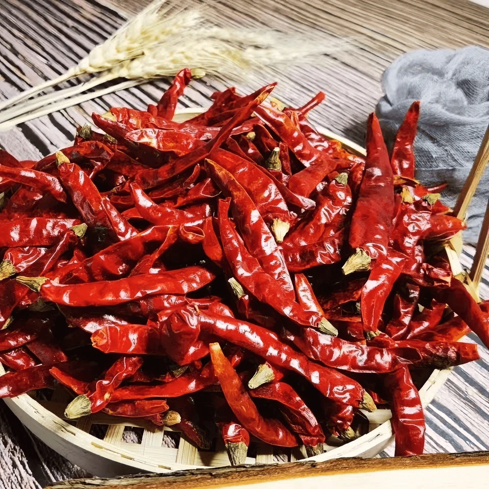 农村现收贵州自然晾干辣椒特香二荆条香辣饱满当季辣椒美食