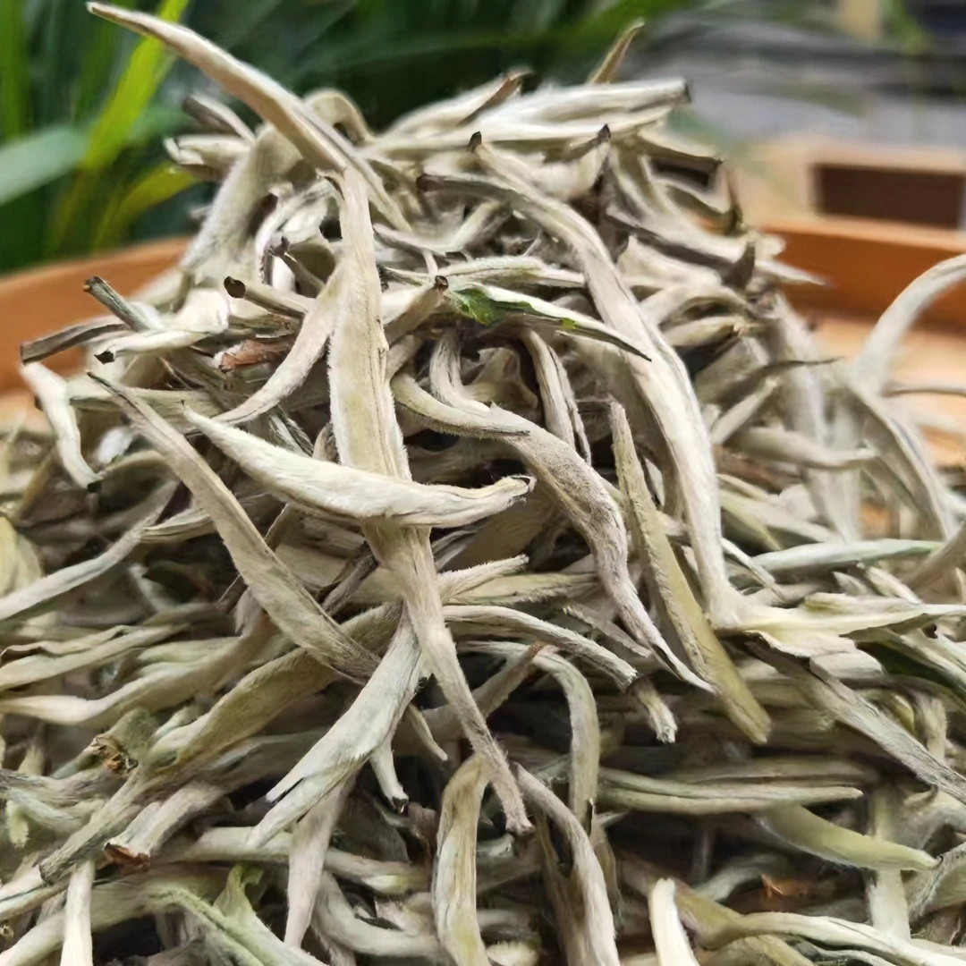 云南白毫银针白茶