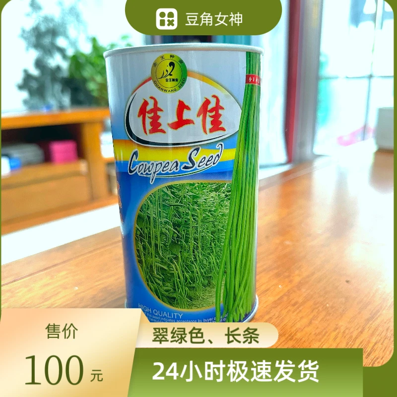 佳上佳豇豆种子高产长条厚肉型