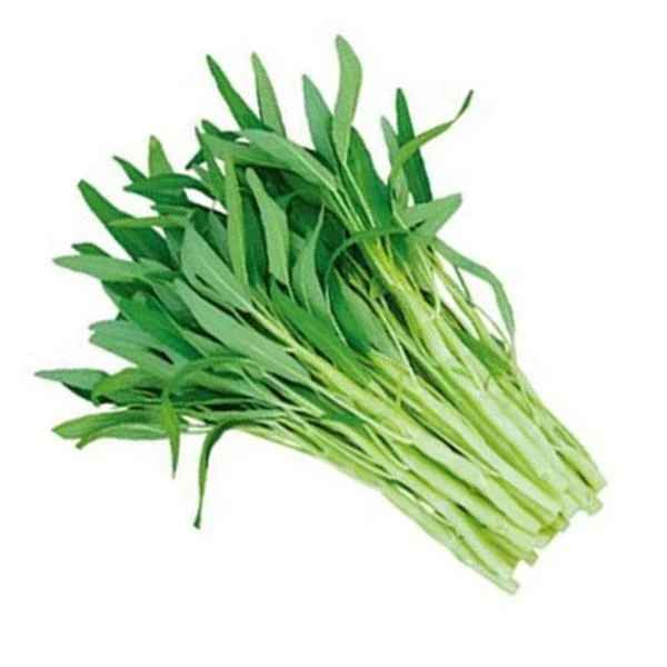 绿杆空心菜-约300g