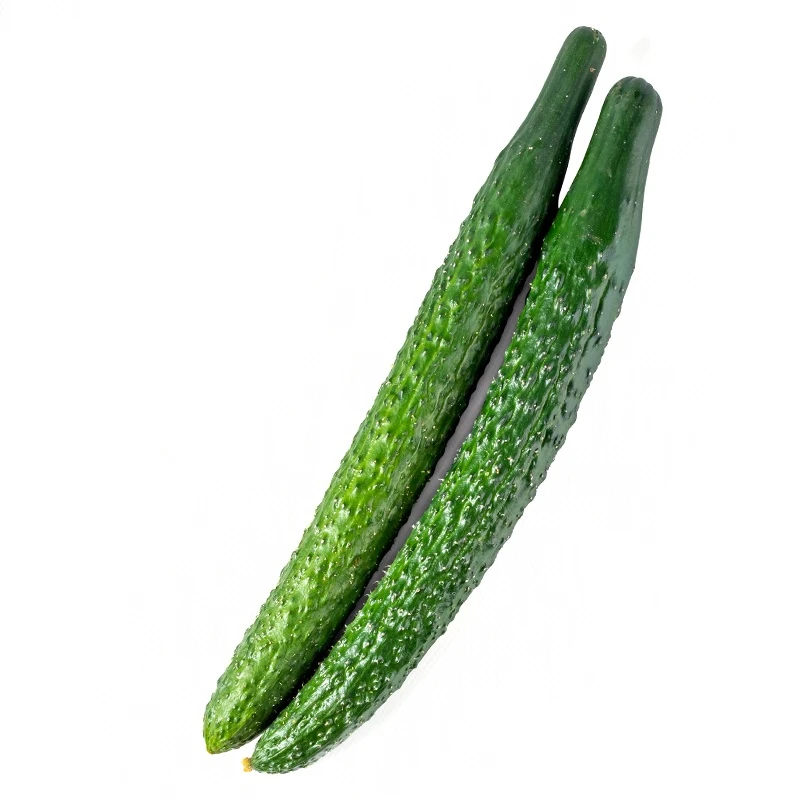 水黄瓜3根 约1.2～1.5斤黄瓜同城送黄瓜同城配
