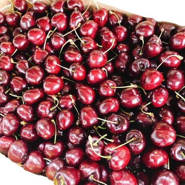 空运智利桑提娜车厘子一盒5斤99元J智利