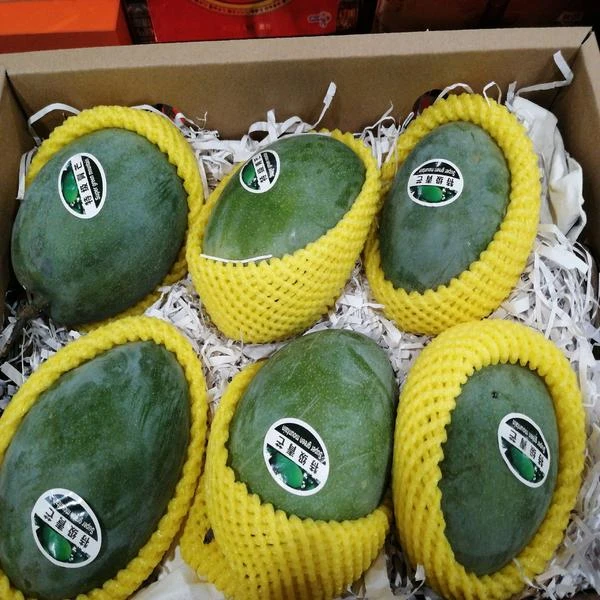 大青芒、凯特青芒