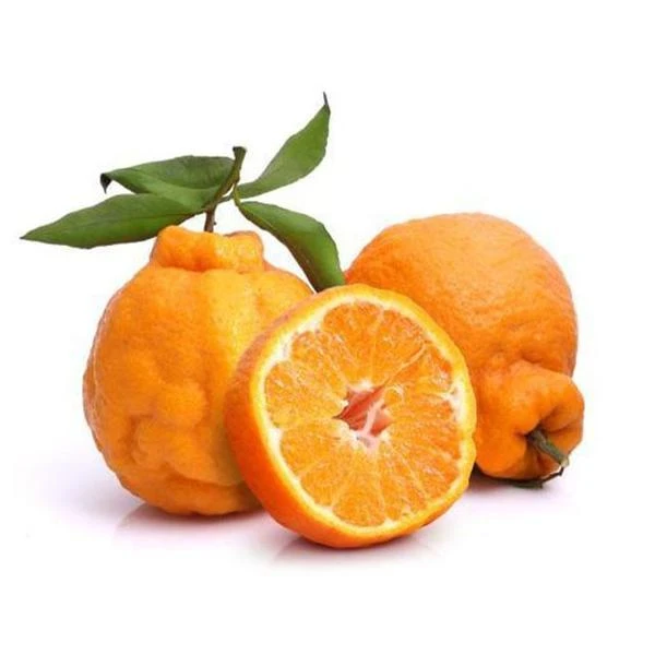 丑八怪 橘 约500g-550g