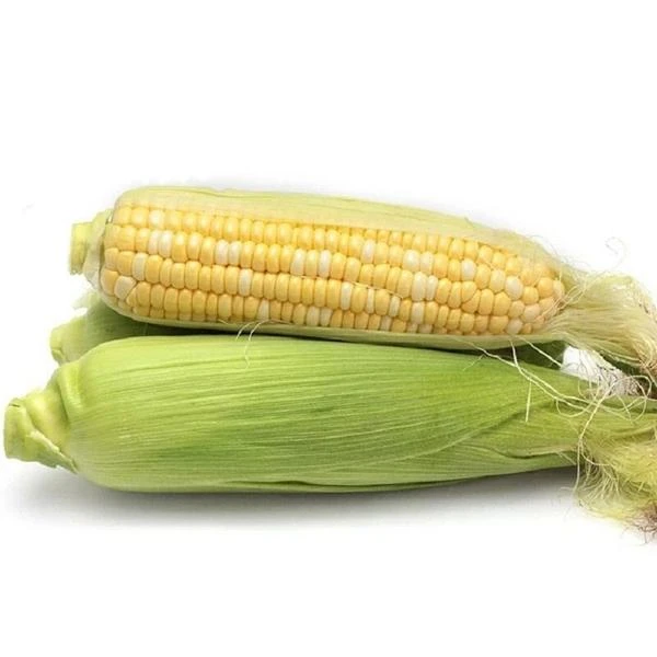 甜玉米 约400g