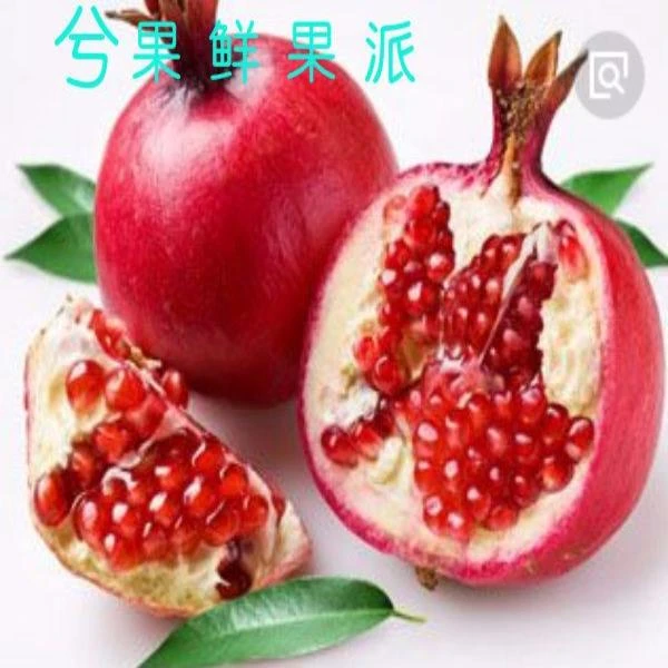 【鲜剥】云南蒙自石榴