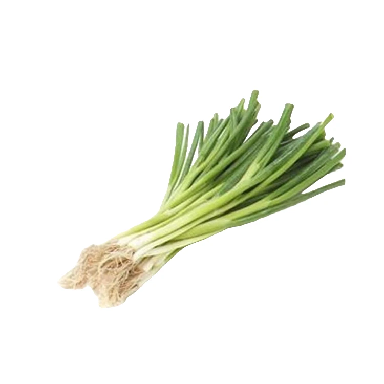 小葱500g葱