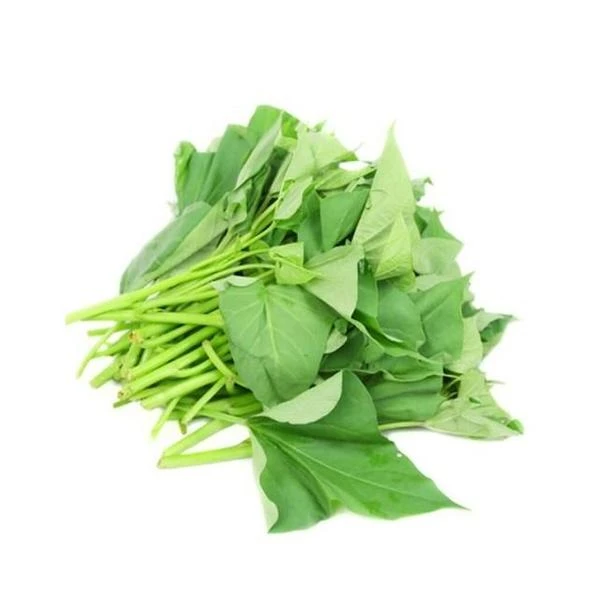 红薯叶 约500g