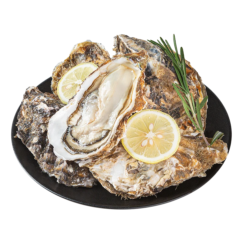 鲜活乳山生蚝1.4kg-1.5kg海蛎子海鲜