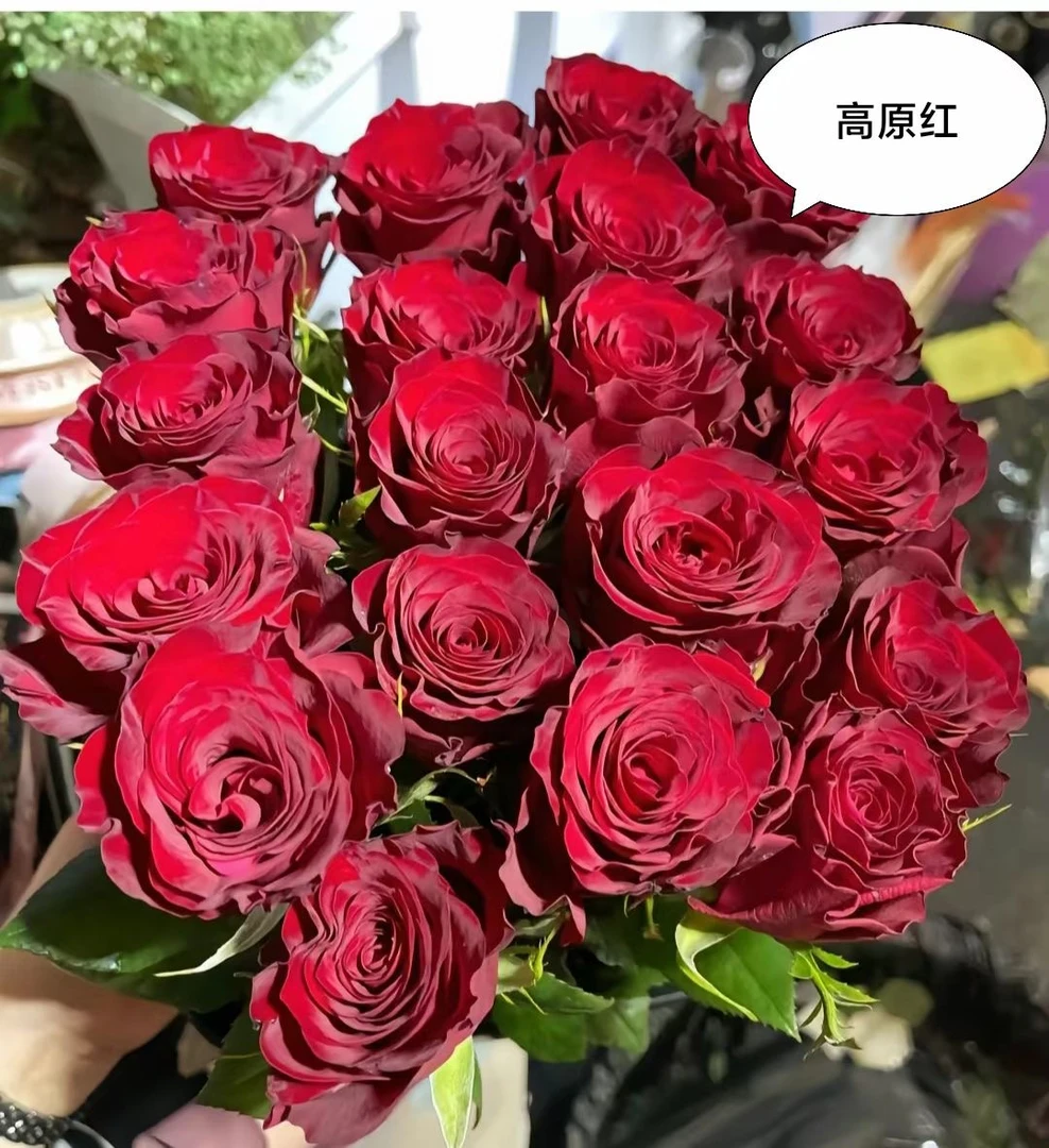 周小姐高原红玫瑰20支，10%内损伤不售后