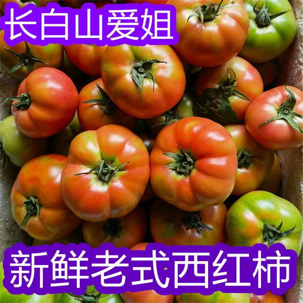 长白山爱姐农家肥新鲜西红柿炒鸡生吃味好净含量2000g【顺丰包邮】