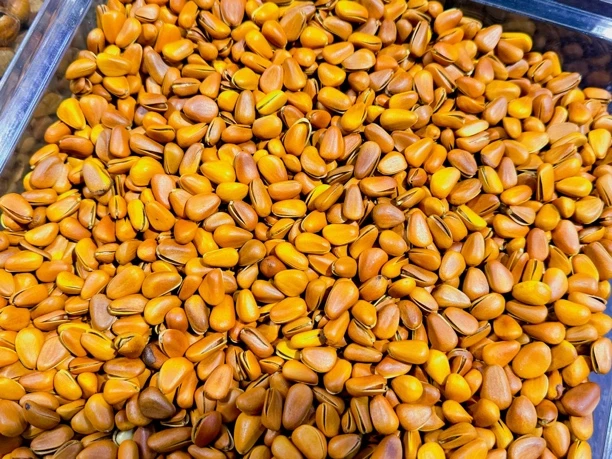 精选东北大松子（新货）