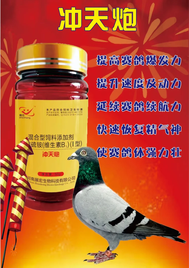 冲天炮  提高提速不气喘  鸽子家飞迅速恢复体能 配带小勺