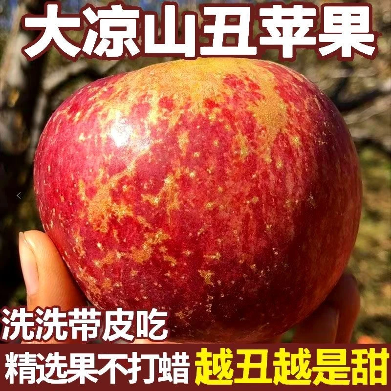 福参与福袋领现摘正宗大凉山丑苹果水果5斤包邮