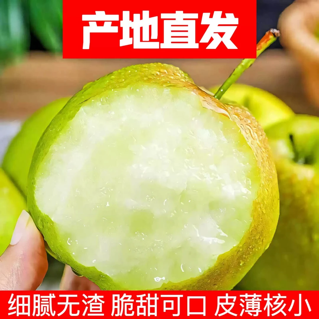 陕西延安正宗黄陵翡翠梨当季新果现摘先发产地直发脆甜多汁超甜