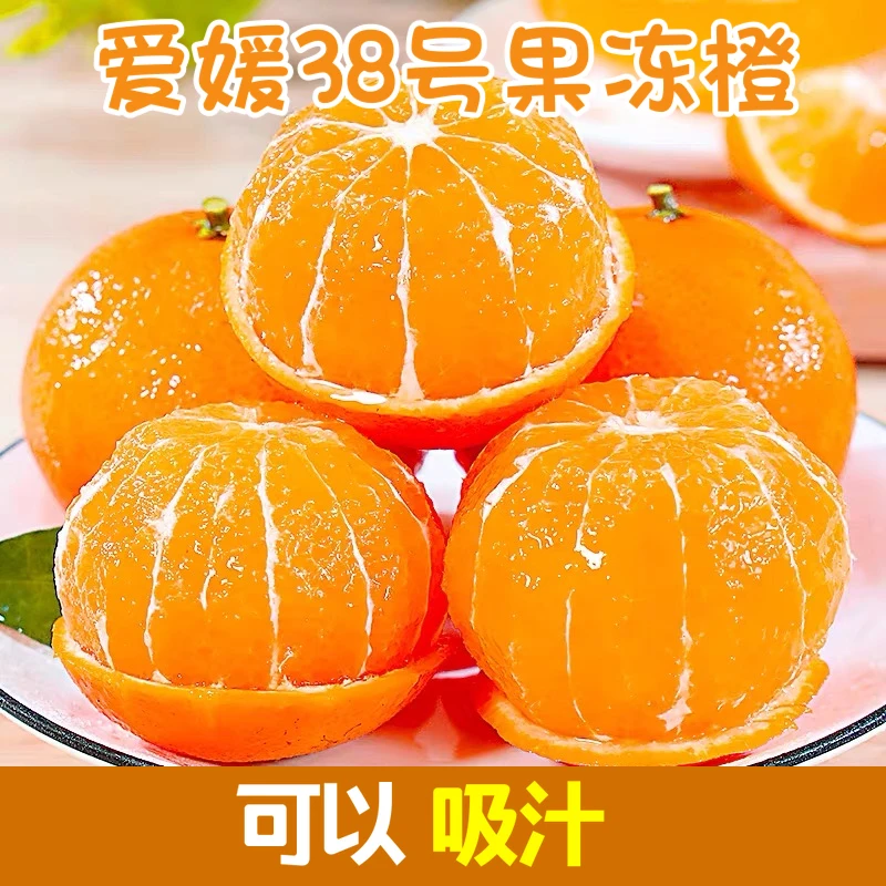 【达人专享】四川爱媛果冻橙2/5斤装 新鲜应季水果 坏果包赔