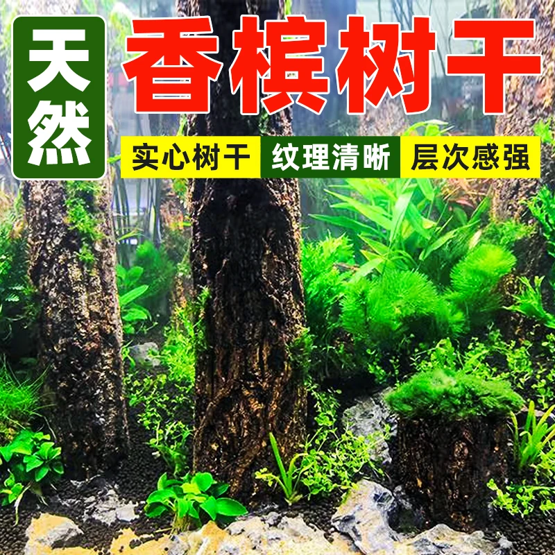 鱼缸真树干直条沉木水草树根雨林造景树皮杜鹃根香槟树桩森林景