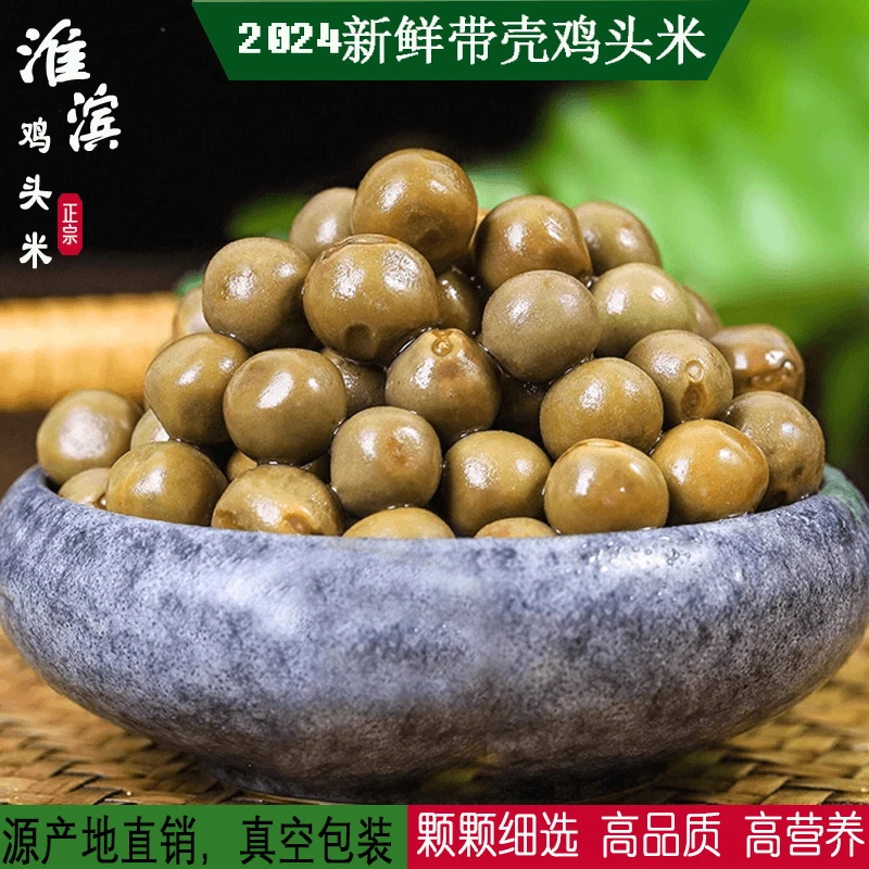 2024淮滨新鲜鸡头米带壳10斤