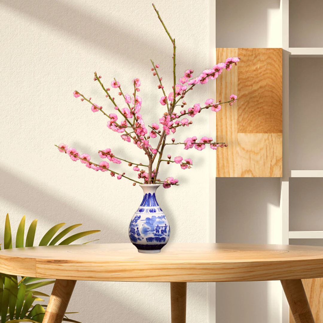 大红色 红梅年宵花 梅花枝条 塔子山梅花基地 花鲜切花带花苞水培