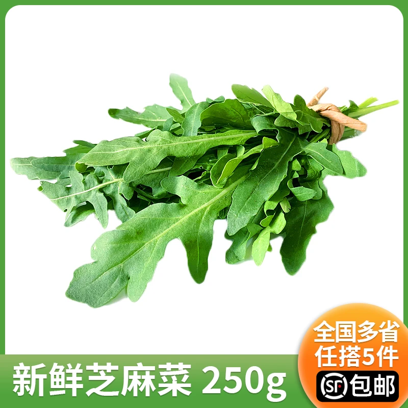 绿食者新鲜芝麻菜250g德国芥菜火箭菜西餐新鲜沙拉蔬菜涮火锅食材