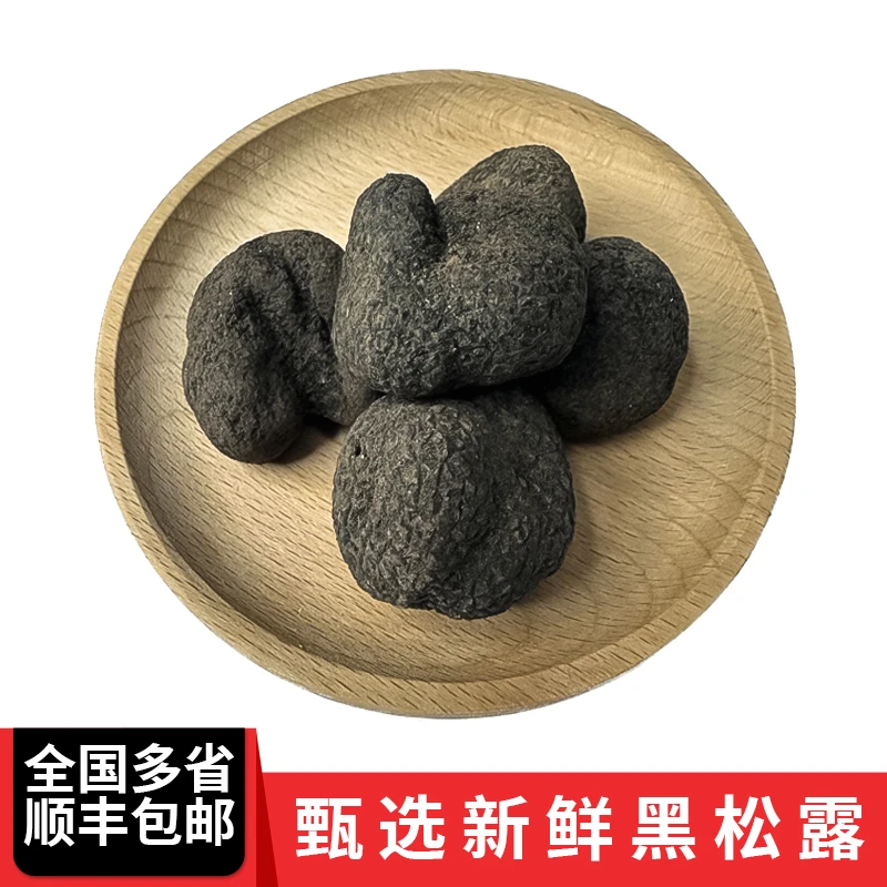 甄选新鲜成熟黑松露 应季现货 全国多省顺丰包邮
