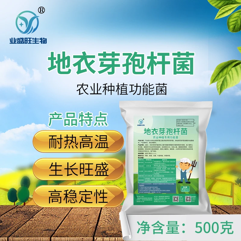 业盛旺农用地衣芽孢杆菌青枯病杀菌抗重茬抗病枯萎病微生物菌剂