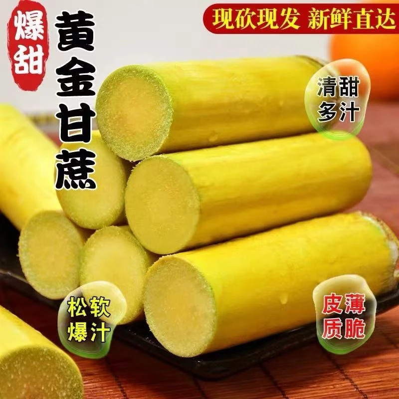 四川黄金甘蔗爆汁超甜