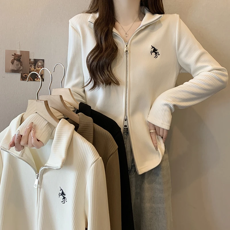 2024秋装新款胖mm大码时尚百搭修身遮肉显瘦长袖针织上衣32163