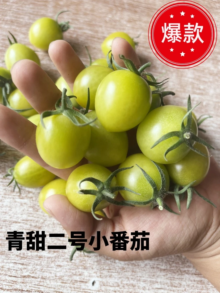 《顺丰包邮》梦想青甜2号青霞绿色小番茄成熟糖度高口感好绿宝石