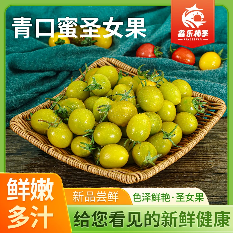 《顺丰包邮》产地直供爆汁青口蜜酸甜特色口感绿色自然圣女果采摘