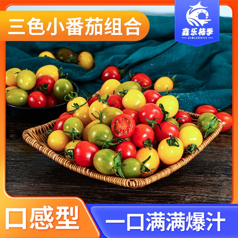 《顺丰包邮》采摘混装红黄绿小番茄青口蜜迷恋靓贝多汁新鲜圣女果