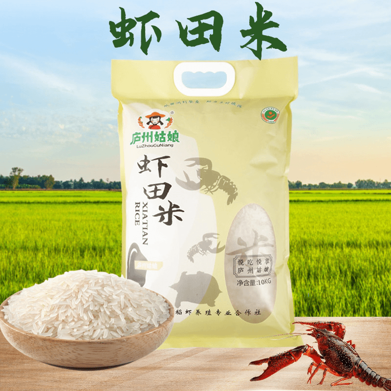 【雨农24】新米现磨长粒新籼米虾田米每袋20斤食用优质软糯醇香营养