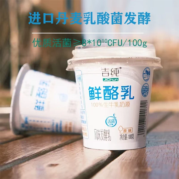 吉纯吉纯原味鲜酪乳低温活菌新鲜生牛乳发酵益生菌酸奶