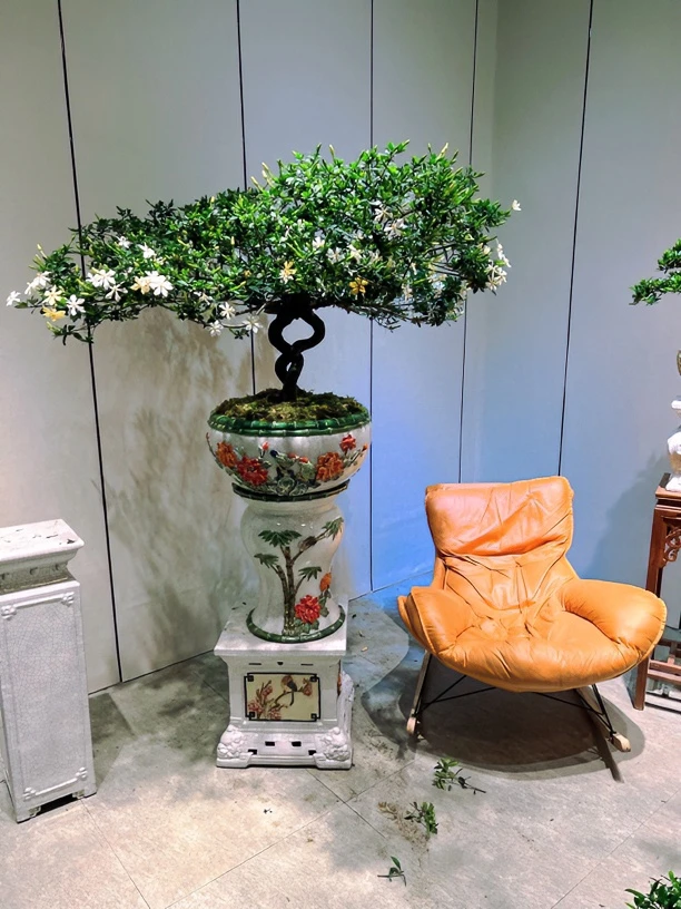 根艺蘑菇顶四季揽叶栀子花适用造景养护光照场景产品根系
