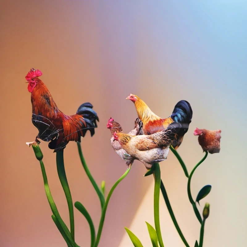 田园居农家散养土鸡2只公鸡和母鸡各一只