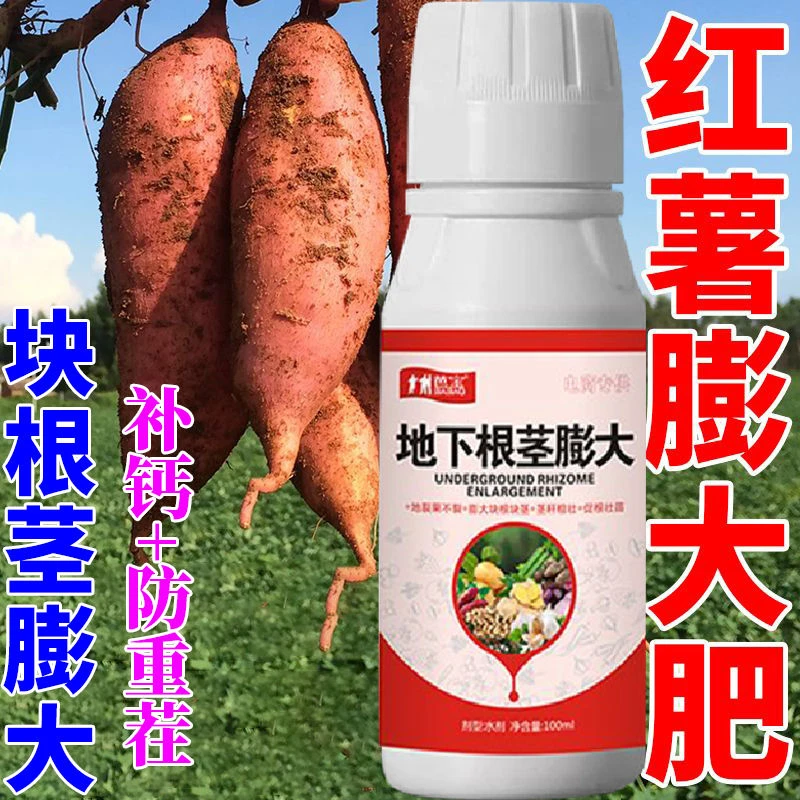 红薯控旺膨大素地下猛长急速膨大红薯膨大剂叶面肥红薯地下猛长