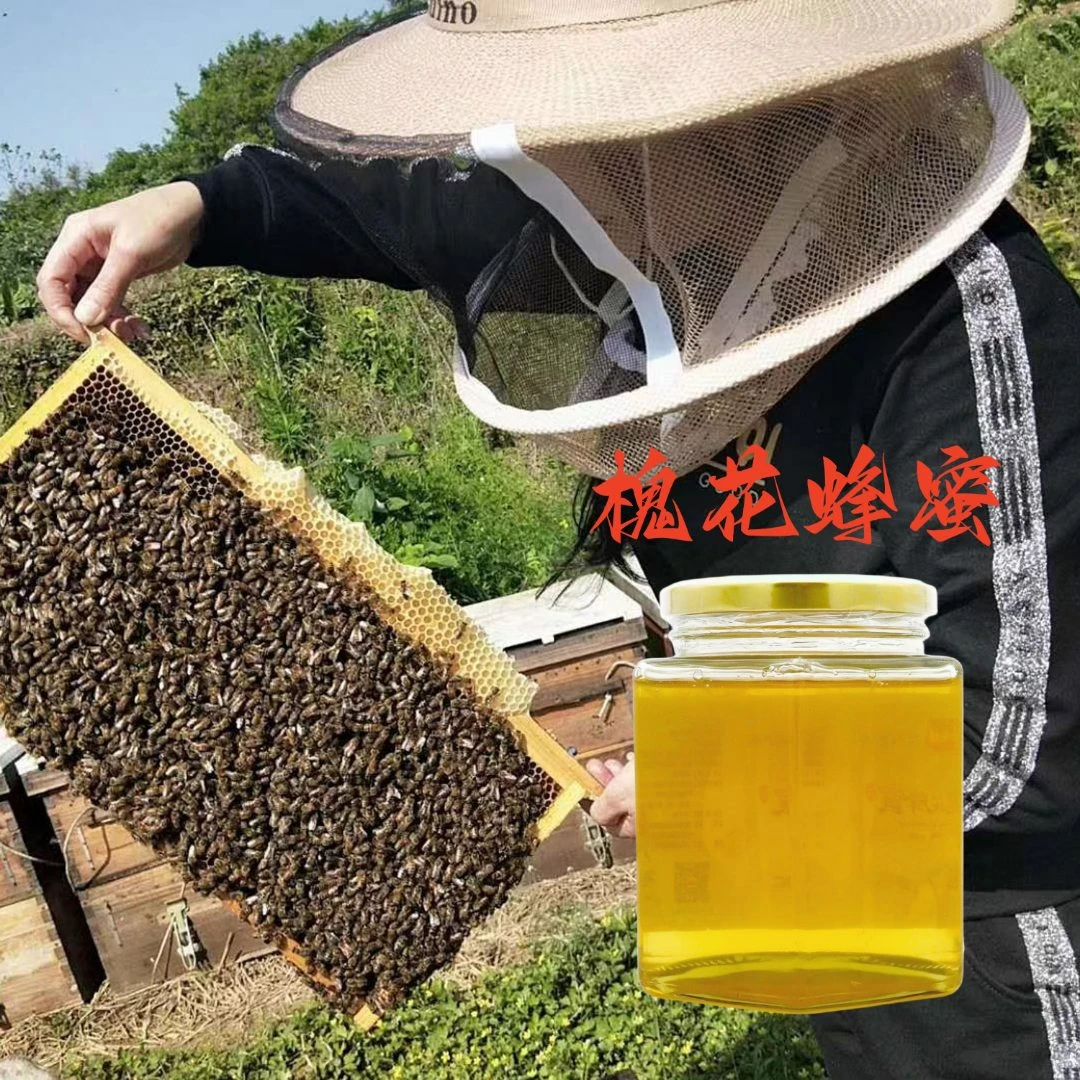 槐花蜂蜜农家自产自销500g深山野生原生成熟槐花蜜液态蜂蜜真蜂蜜