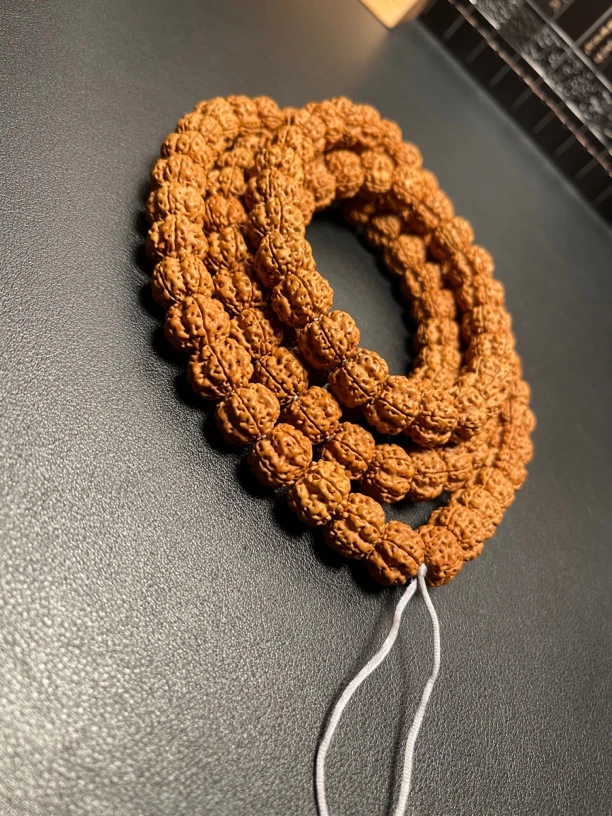 小金刚绝情帝王花108（11号）