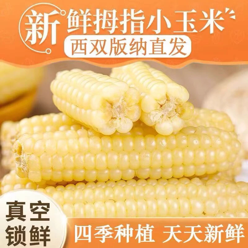 西双版纳傣族拇指玉米软糯香甜清香可口新鲜非转基因清甜味道锁鲜