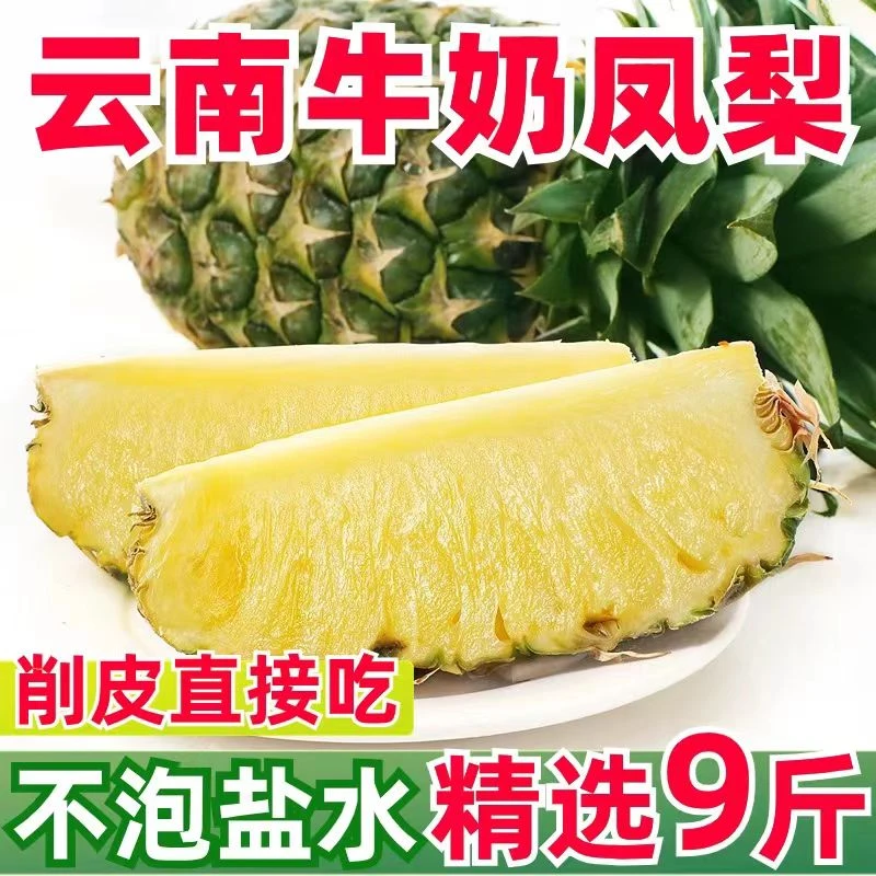 清甜新鲜凤梨大果非菠萝当天采摘西双版纳牛奶凤梨产地直发多汁