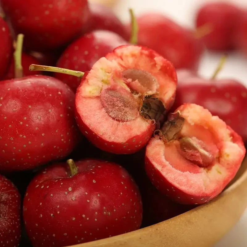 甜红子又名山里红 产自沂蒙山区 糖雪球 山楂酒 迷你糖葫芦适用