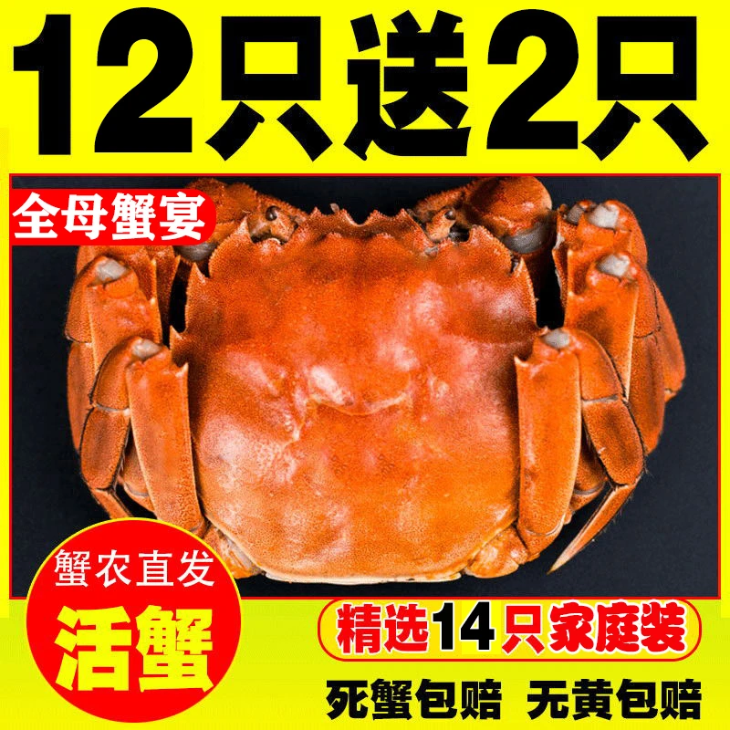 华 活蟹 全母12只送2只1.2-1.5两江苏河蟹螃蟹顺丰京东送蟹醋不绑