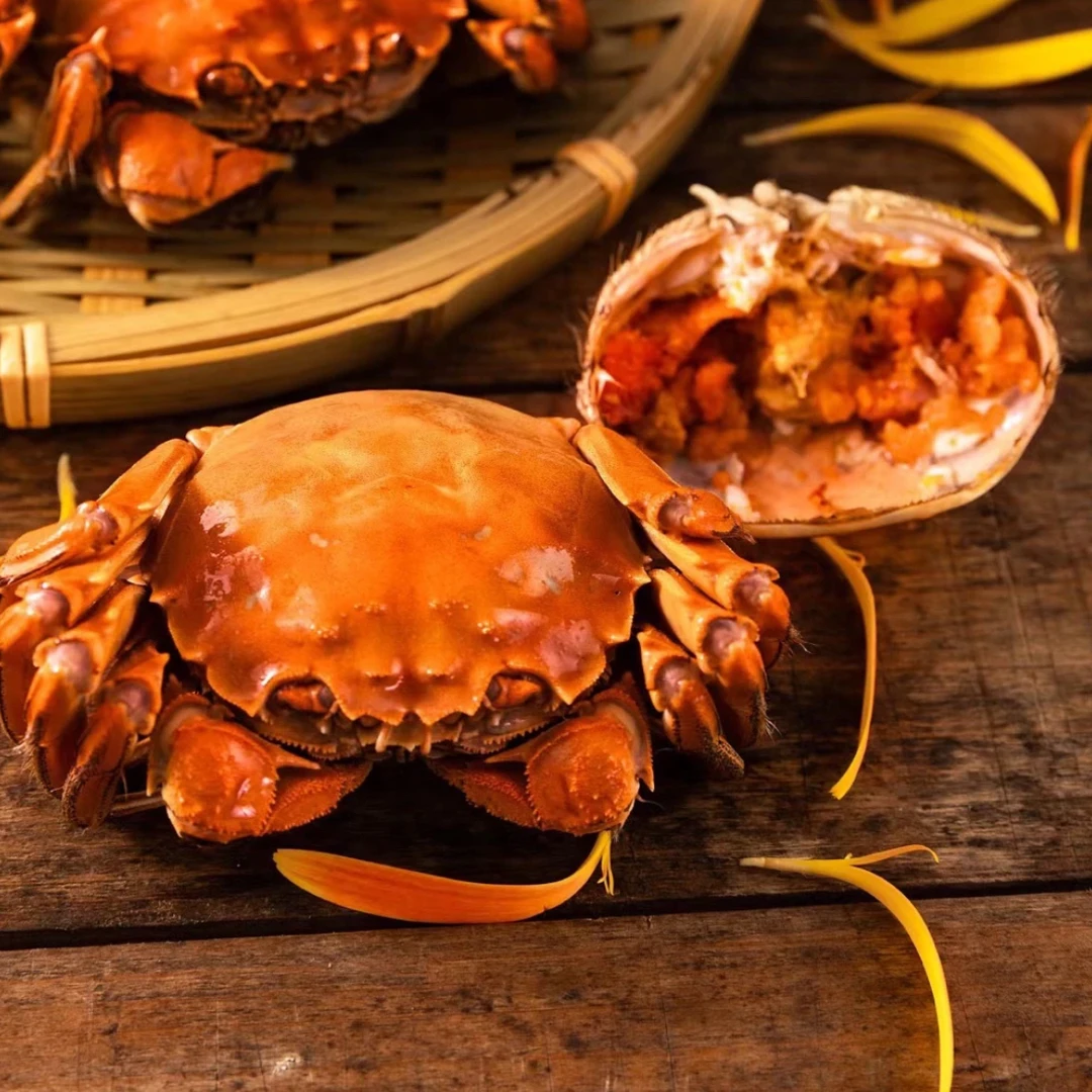 【活蟹】无绳净重江苏螃蟹河蟹公2.6-2.3两母2.1-1.8两买10只送2只