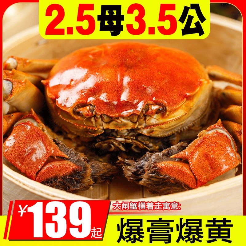 【活蟹】京湖精品大闸蟹江苏螃蟹6/8/10只装公蟹3.5两母蟹2.5两