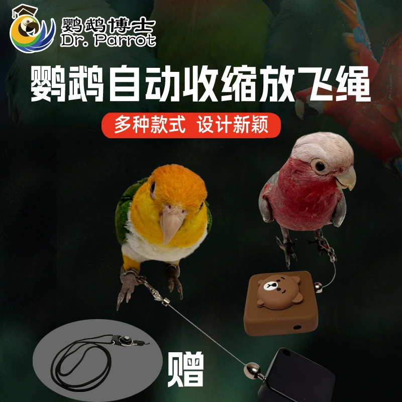 鹦鹉牵引绳自动伸缩脚环放飞绳不伤脚外出飞行遛鸟神器牡丹玄凤
