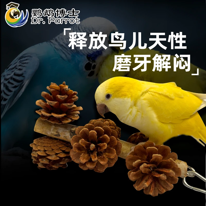 鹦鹉啃咬玩具磨嘴鹦鹉磨牙实木玩具中大型鹦鹉玩具用品大松果塔串