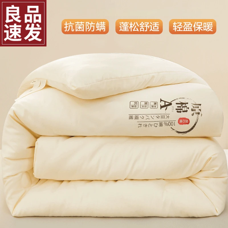 亲肤纤维被子夏被棉被芯加厚保暖天季春秋款太空调被单人四季通用