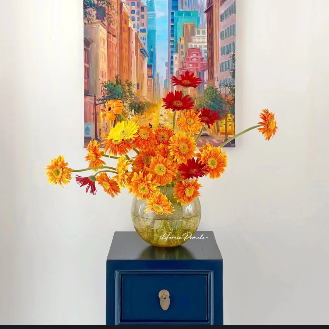 【九里花田】非洲菊-当日采当日发-任意两单顺丰包邮